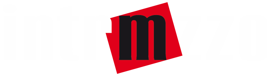 Logo iNtrmzzo - white, trans. sub