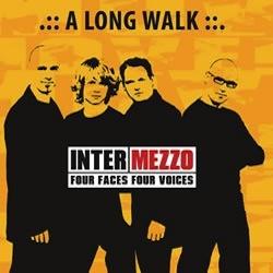 Album cover A Long Walk by iNtrmzzo